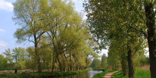Heerlijk wandelen met het hele gezin langs de Dommel