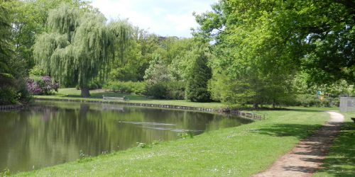 Heerlijk wandelen in Recreatiepark de Kienehoef