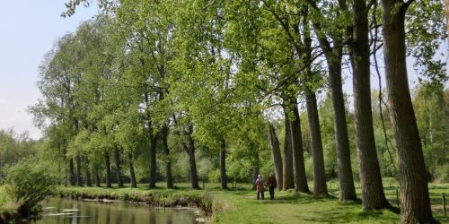 Heerlijk wandelen langs de Dommel