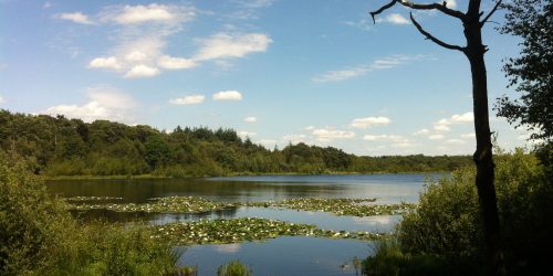 De Hazenputten in Sint-Oedenrode nabij de Kienehoef