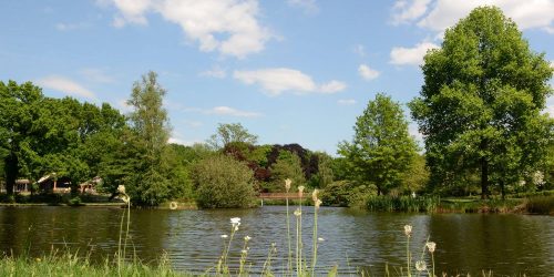 Recreatiepark de Kienehoef in het Brabantse Sint-Oedenrode