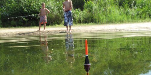 Vissen op het recreatiemeer van de Kienehoef