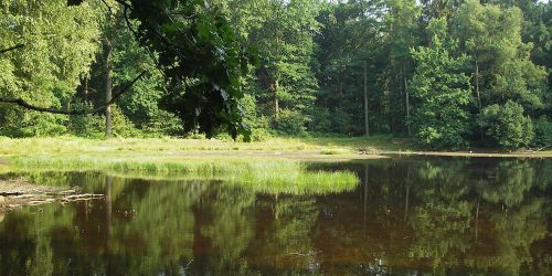 De Dommel zorgt voor mooie natuur