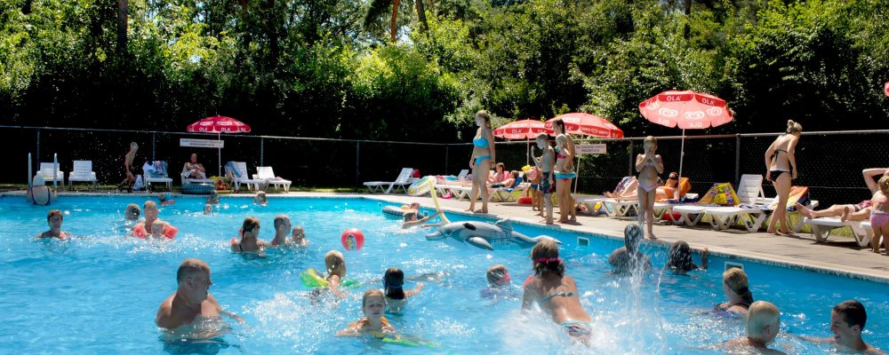 Camping Brabant met zwembad