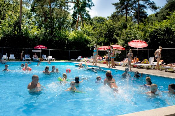 Camping Brabant met zwembad