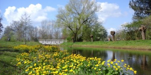 Dommel in Sint-Oedenrode