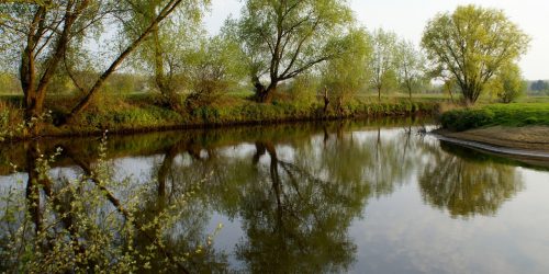 Rivier de Dommel nabij de Kienehoef