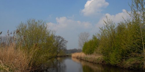 Fantastische natuur bij de Dommel