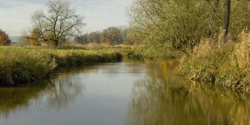 De Dommel, Sint-Oedenrode