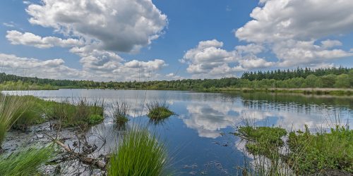 Natuurgebied Het Vresselse Bos, de Hazenputten