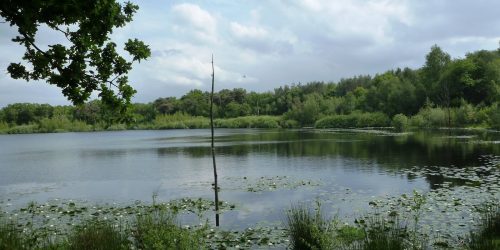 Wonderschone natuur, De Hazenputten in Het Vresselse Bos, Sint-Oedenrode