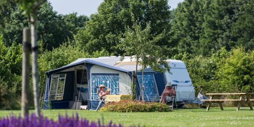 Natuurcamping Brabant