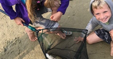 Vissen bij het recreatiemeer