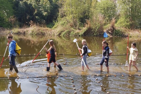 608d0ec1cad5caabb4180b04_2763a993-8732-4fb6-bc47-cd65b17c616b